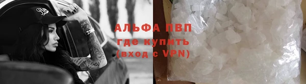 молекула духа Дмитров