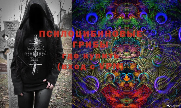 молекула духа Дмитров