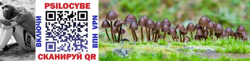 Галлюциногенные грибы GOLDEN TEACHER  купить наркоту  Звенигород 